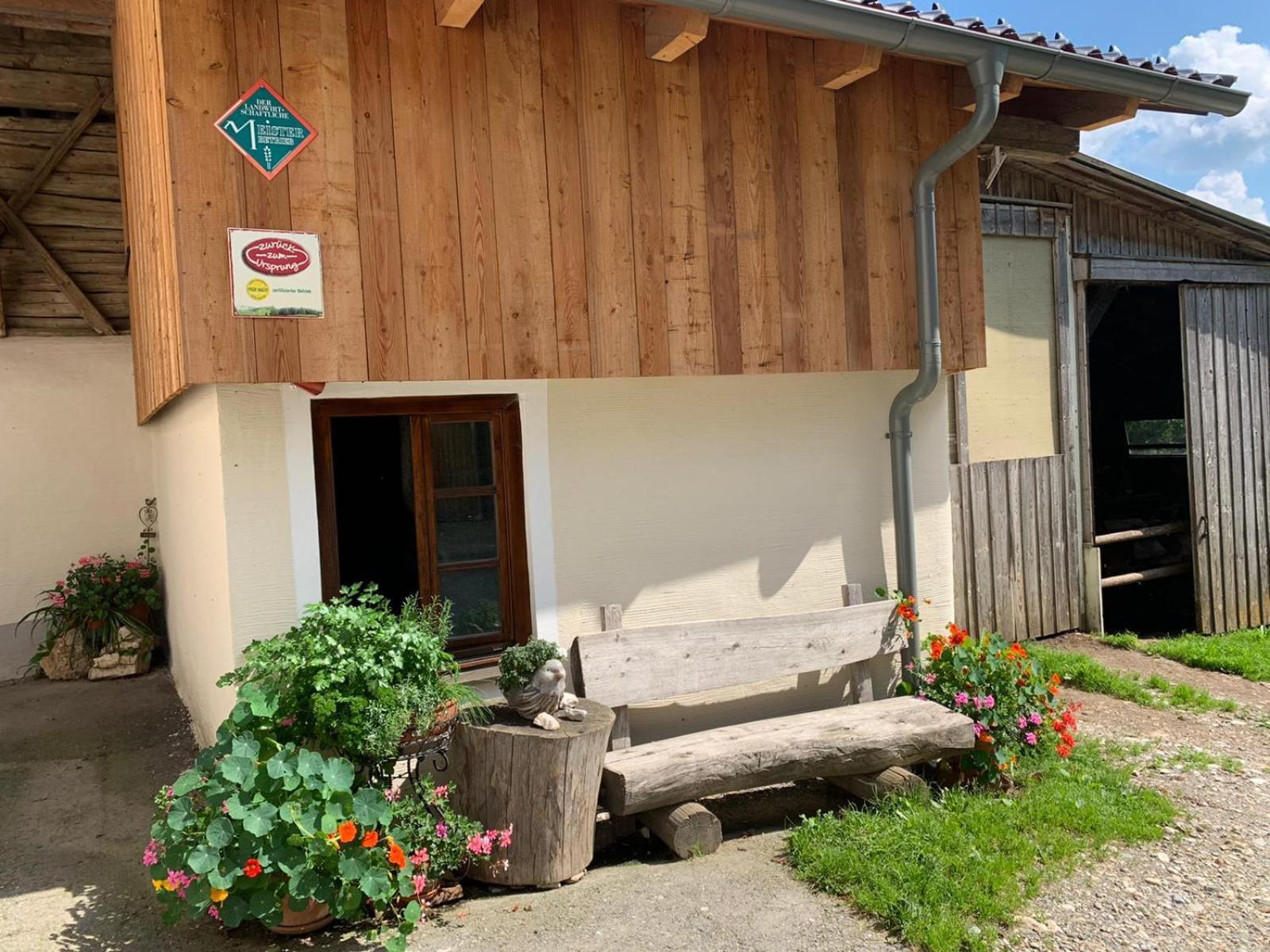 Biohof Goelly Villa Neumarkt in Steiermark Buitenkant foto