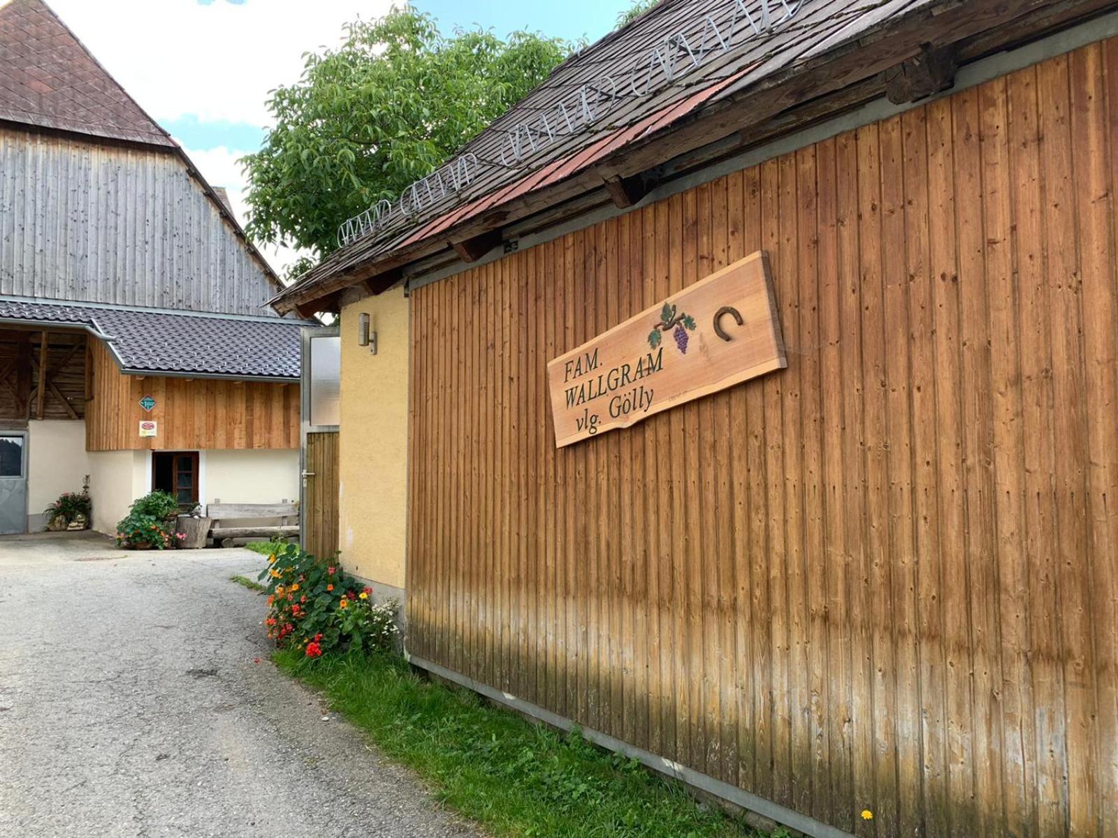 Biohof Goelly Villa Neumarkt in Steiermark Buitenkant foto
