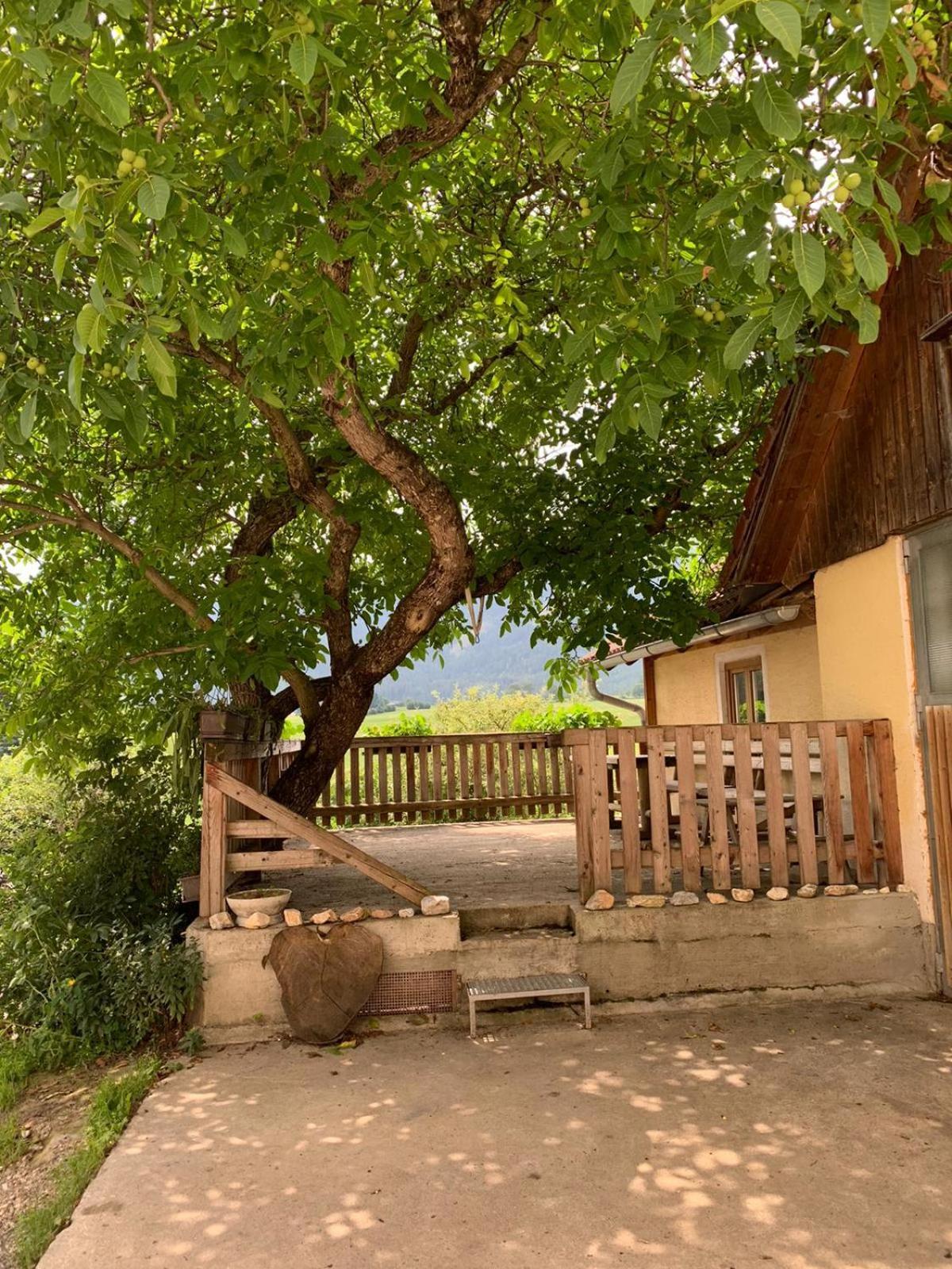 Biohof Goelly Villa Neumarkt in Steiermark Buitenkant foto