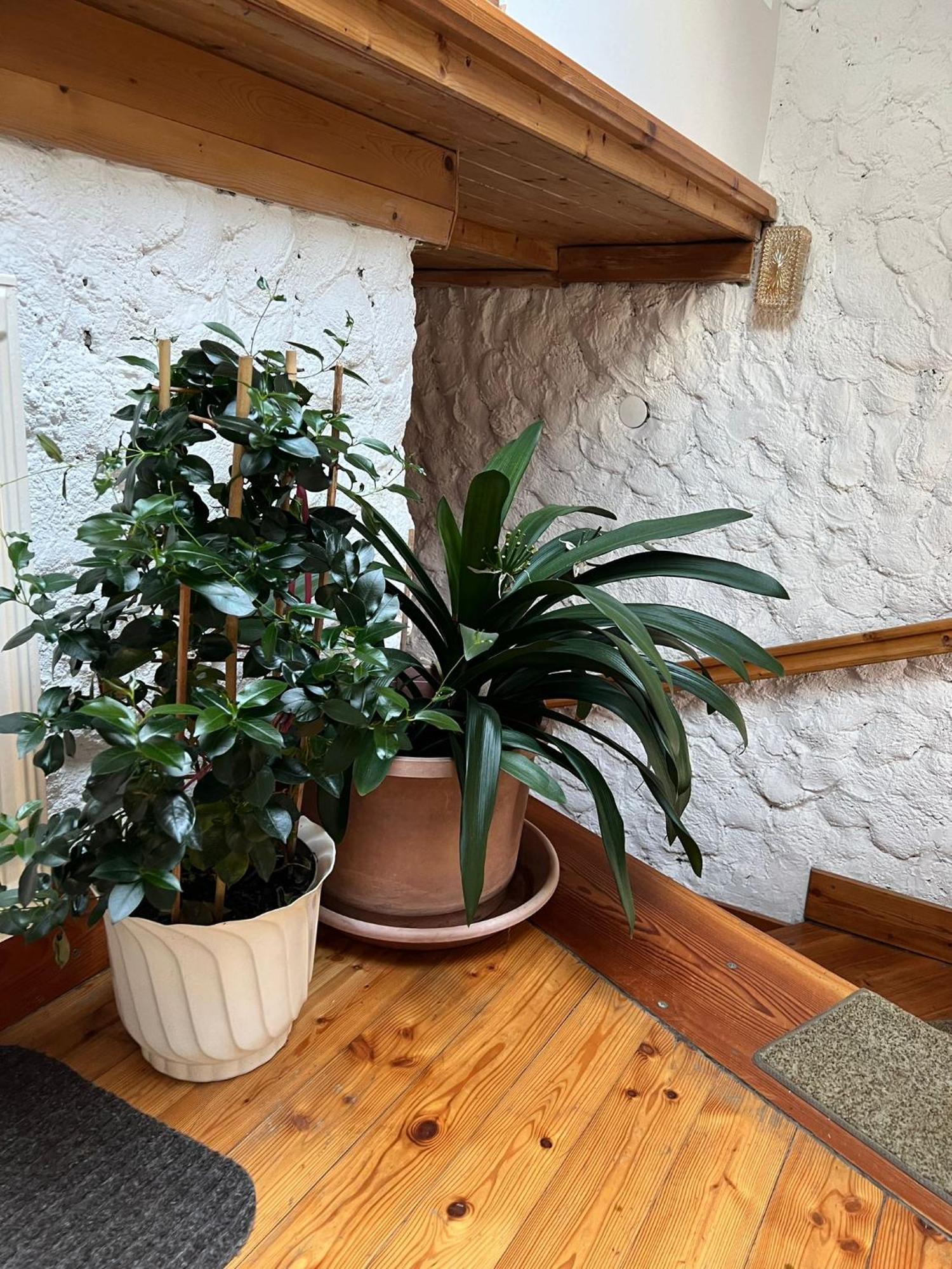 Biohof Goelly Villa Neumarkt in Steiermark Buitenkant foto