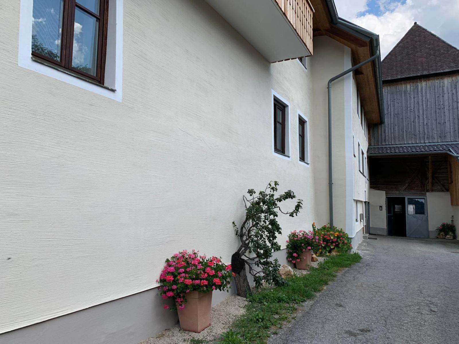 Biohof Goelly Villa Neumarkt in Steiermark Buitenkant foto