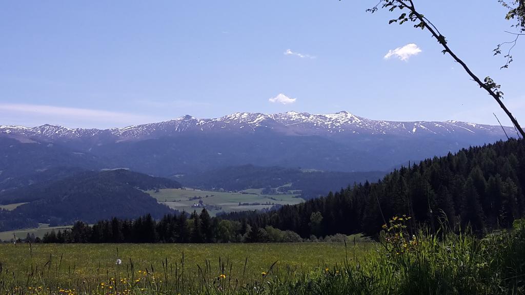 Biohof Golly Villa Neumarkt in Steiermark Buitenkant foto