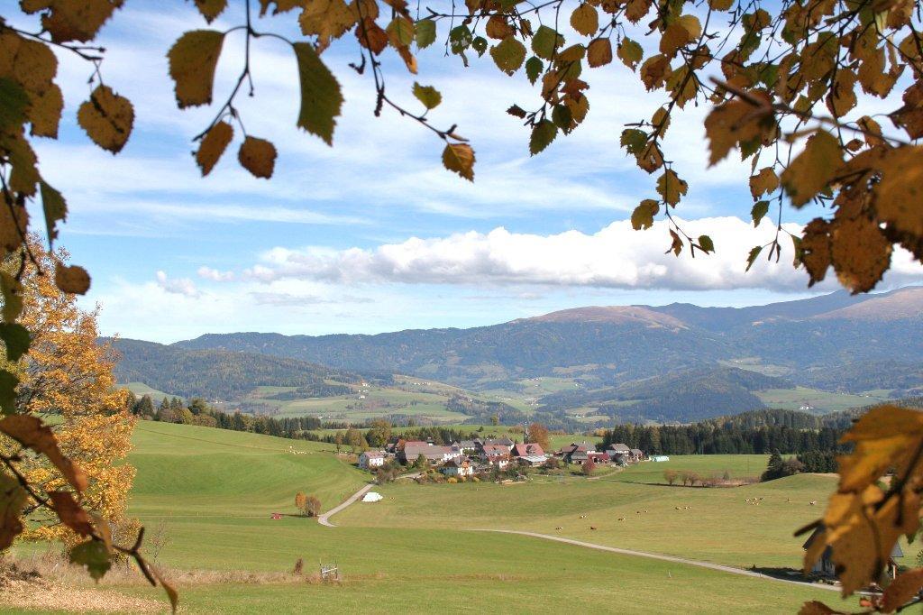 Biohof Golly Villa Neumarkt in Steiermark Buitenkant foto