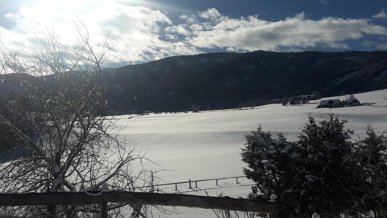 Biohof Golly Villa Neumarkt in Steiermark Buitenkant foto