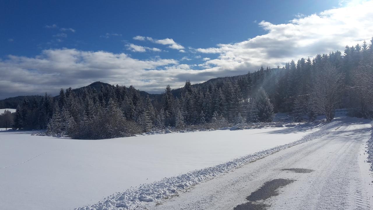 Biohof Golly Villa Neumarkt in Steiermark Buitenkant foto